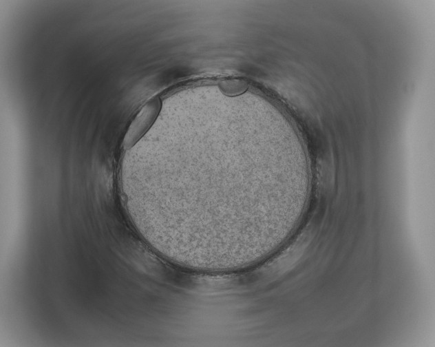 X0000112471257200909141111