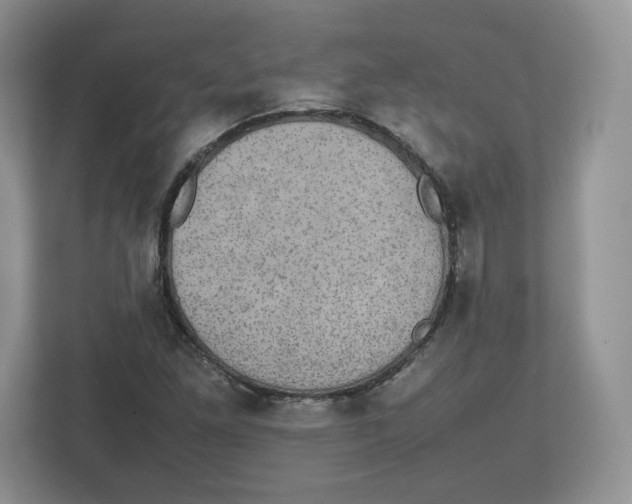 X0000112471261200909141111