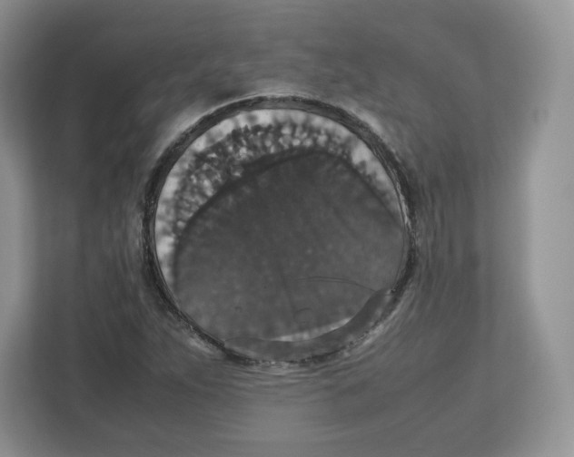 X0000112471263200909141111