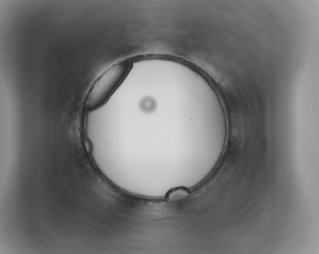 X0000112471264200909141111