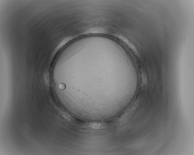 X0000112471266200909141111