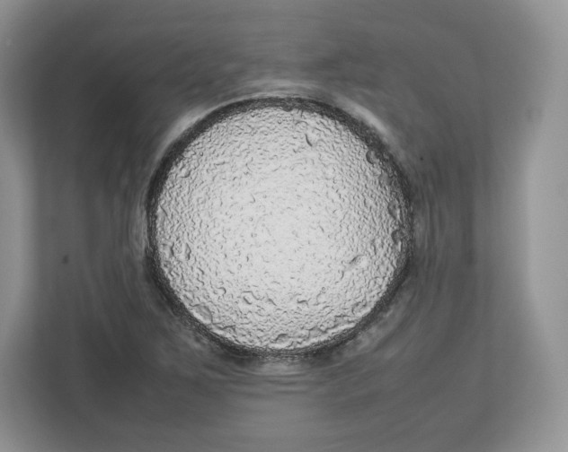 X0000112471267200909141111