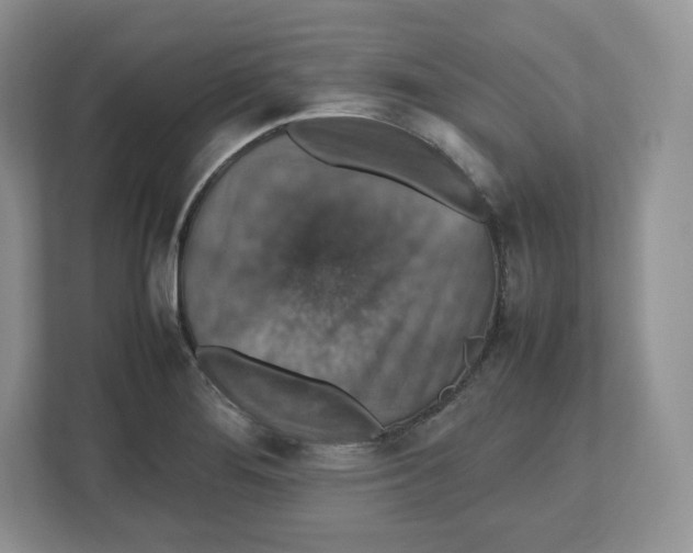 X0000112471276200909141111