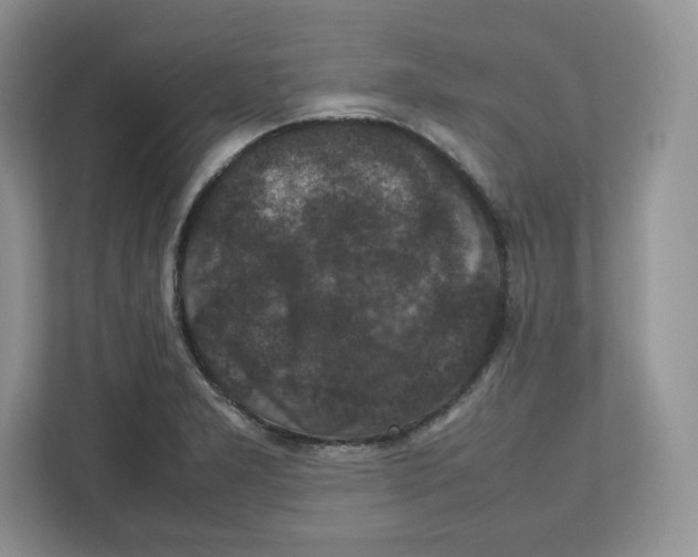 X0000112471277200909141111