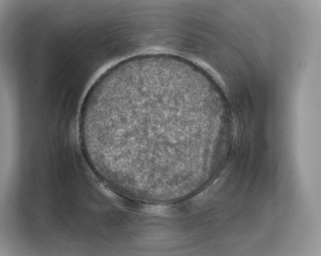 X0000112471278200909141111