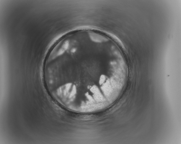X0000112471279200909141111