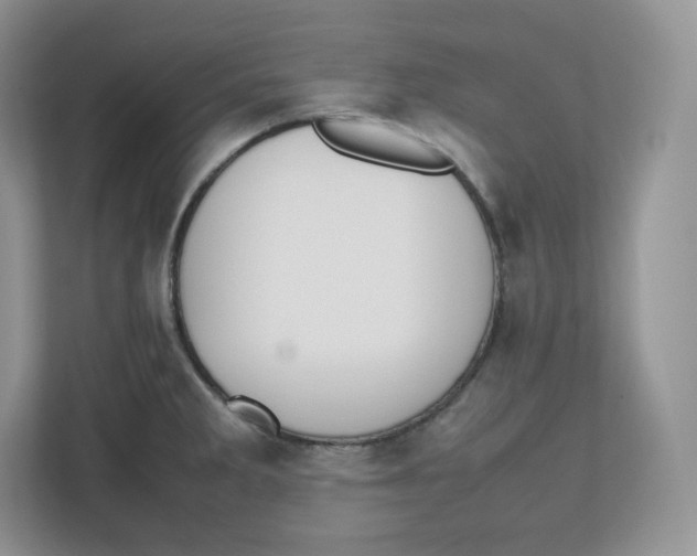 X0000112471285200909141111
