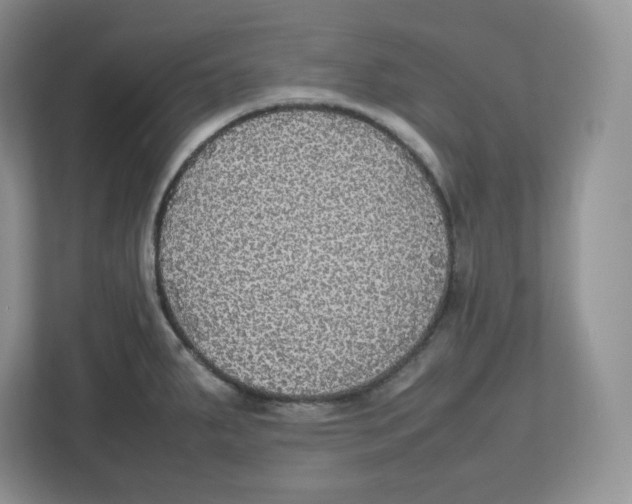 X0000112471287200909141111