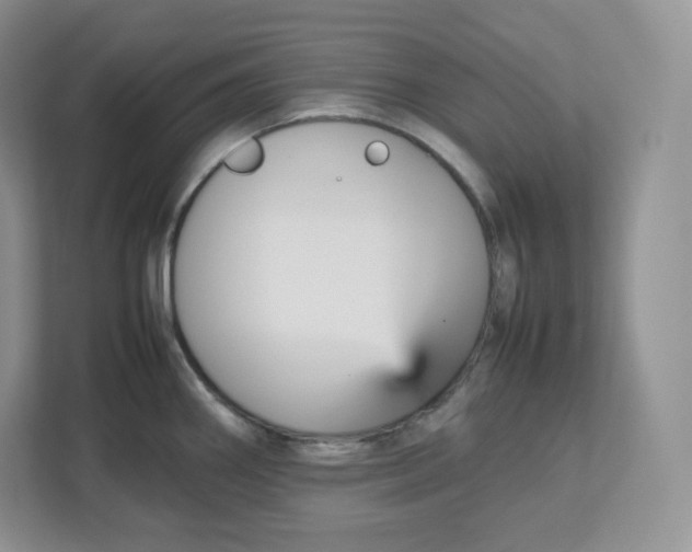 X0000112471290200909141111