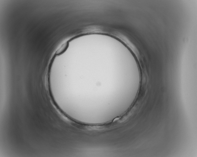 X0000112471293200909141111