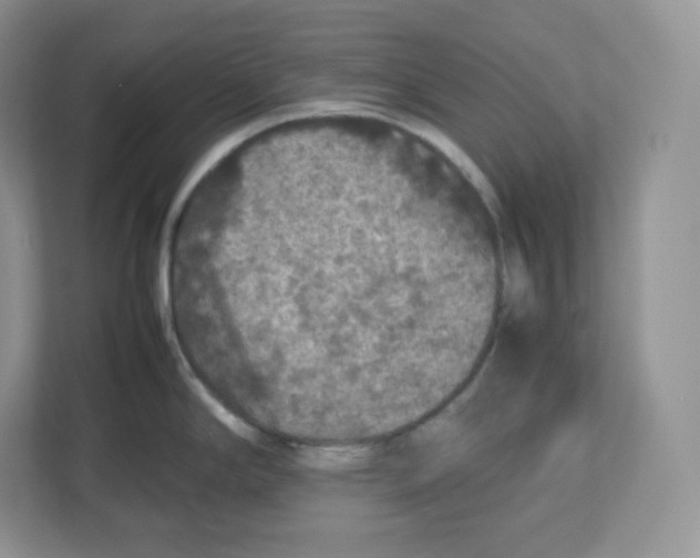 X0000112471294200909141111