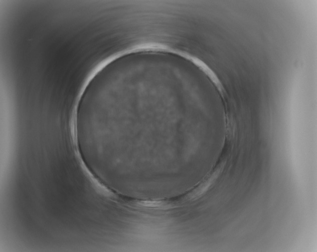 X0000112471295200909141111