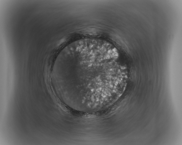 X0000112471297200909141110
