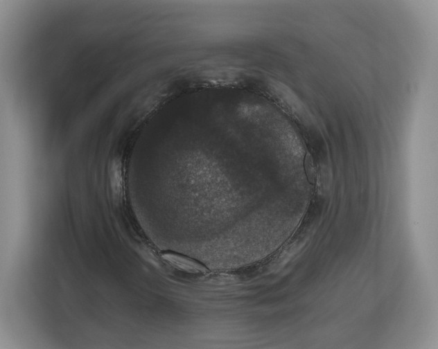 X0000112471298200909141110
