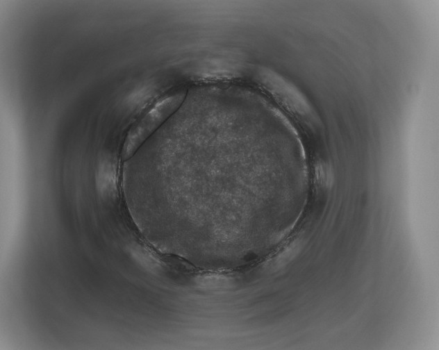 X0000112471300200909141110
