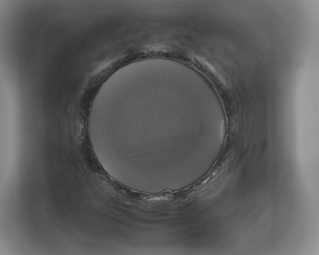 X0000112471303200909141110