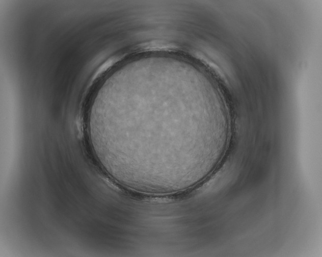 X0000112471306200909141110