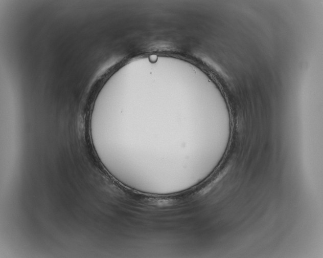 X0000112471309200909141110