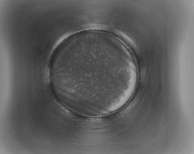 X0000112471310200909141110