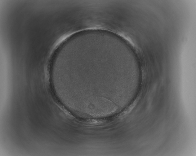 X0000112471311200909141110