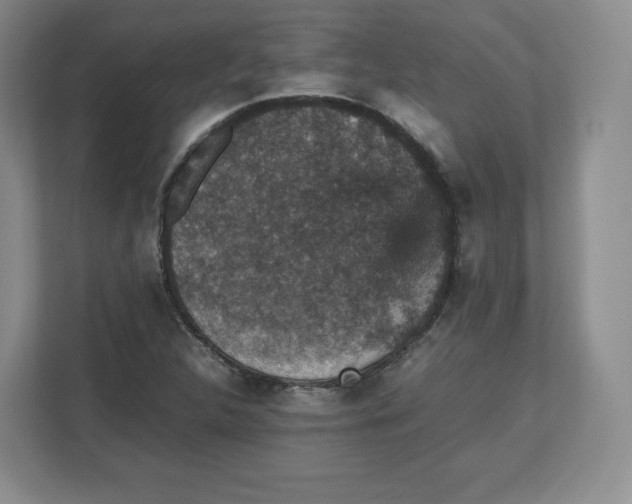 X0000112471312200909141110