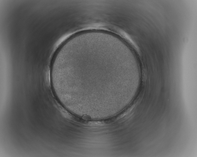 X0000112471320200909141110