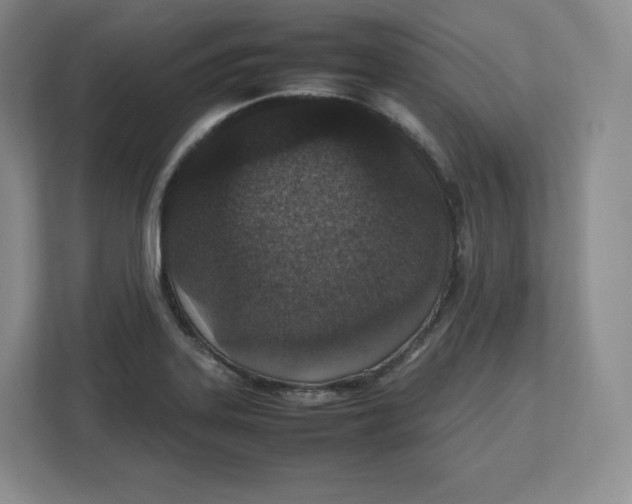 X0000112471323200909141110