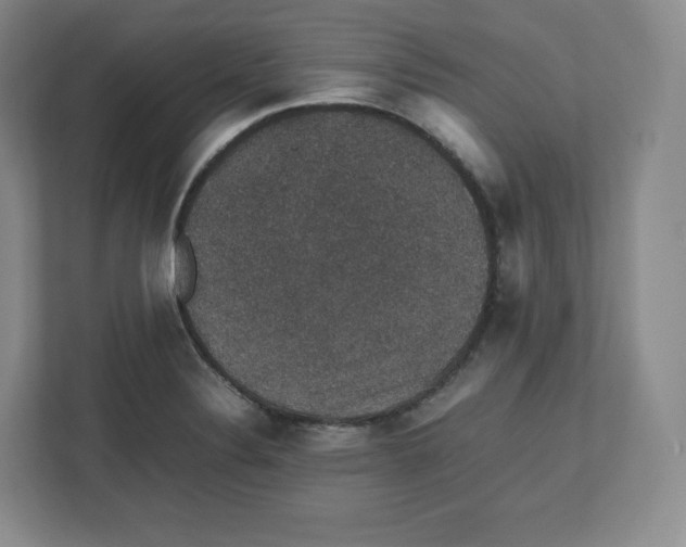 X0000112471324200909141110