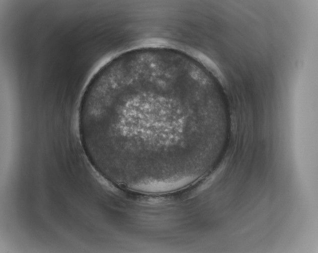 X0000112471326200909141110