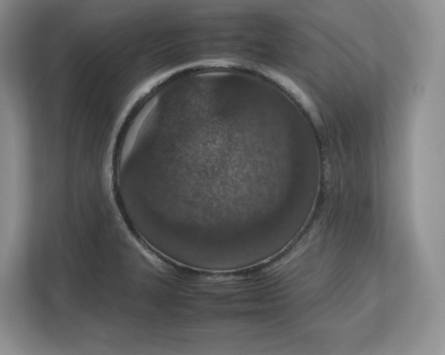 X0000112471327200909141110