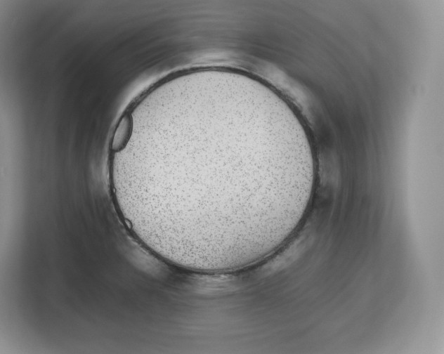 X0000112471328200909141110