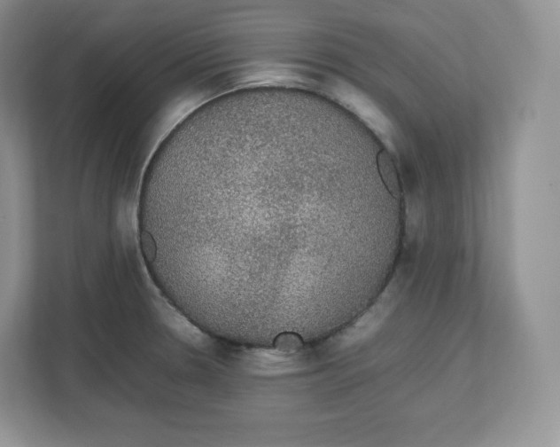 X0000112471330200909141110