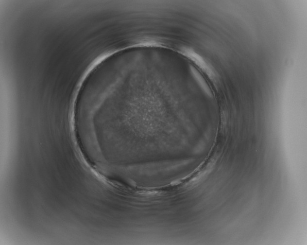 X0000112471331200909141110
