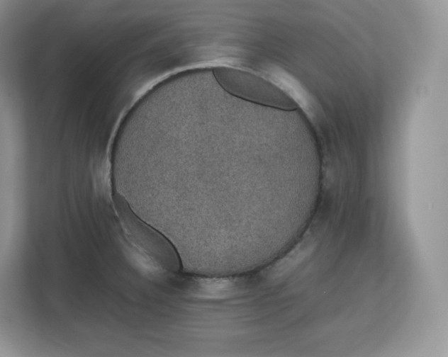 X0000112471332200909141110