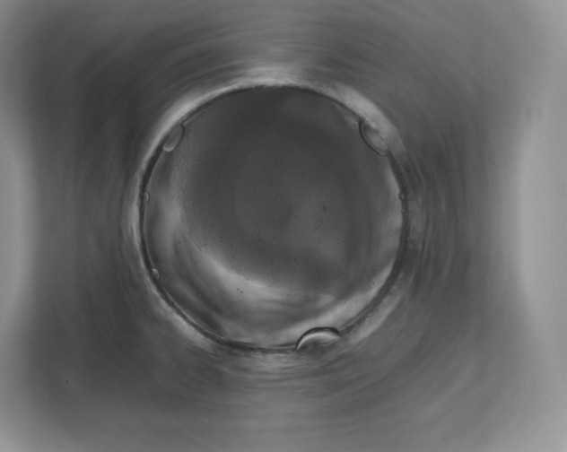 X0000112471334200909141111