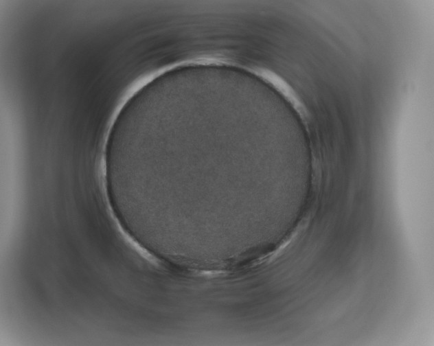 X0000112471335200909141111