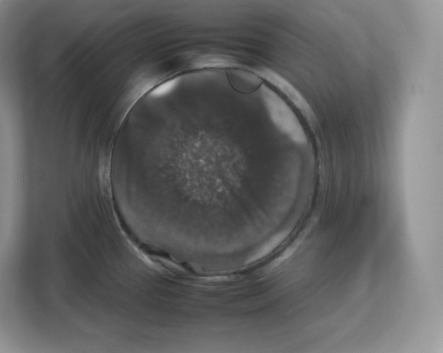 X0000112471337200909141111