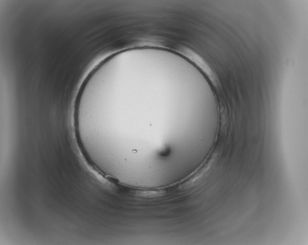 X0000112471339200909141111