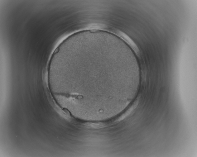 X0000112471340200909141111