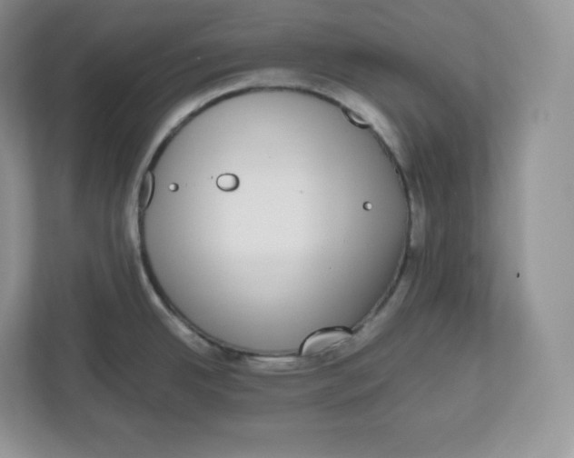 X0000112471342200909141111