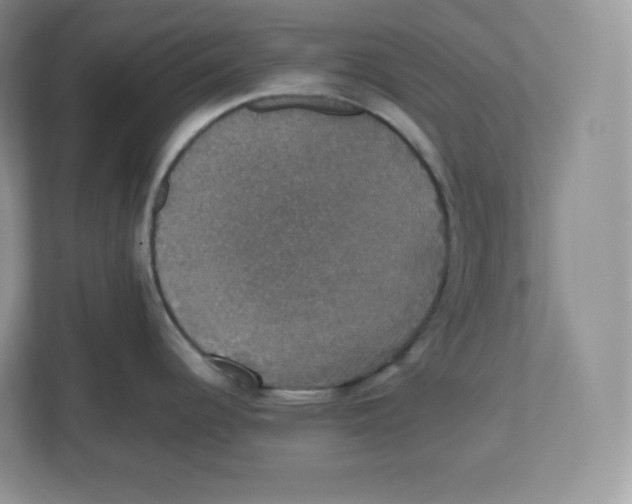 X0000112471344200909141111