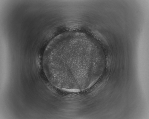 X0000112471346200909141110
