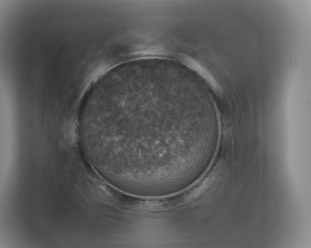 X0000112471357200909141110