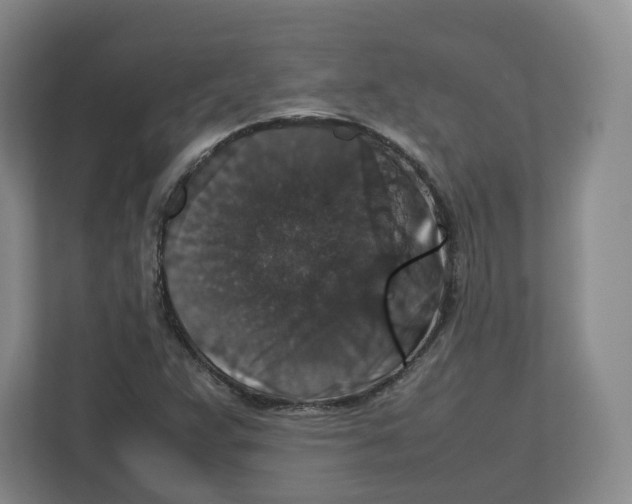 X0000112471359200909141110
