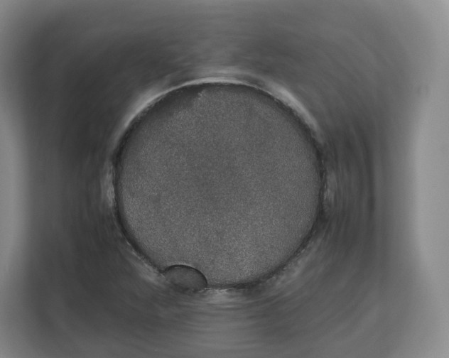 X0000112471360200909141110