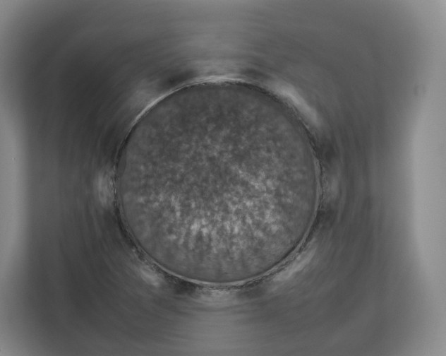 X0000112471361200909141110