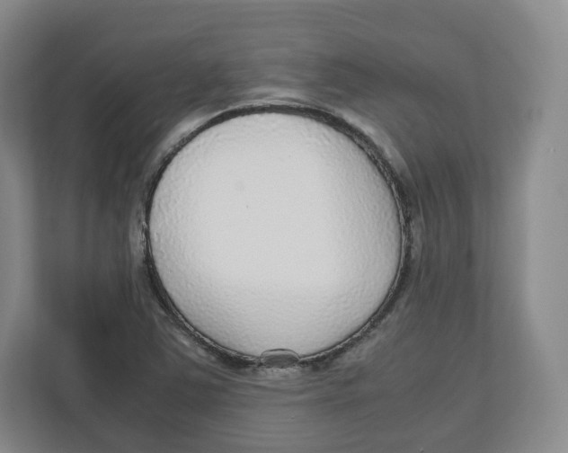 X0000112471363200909141110