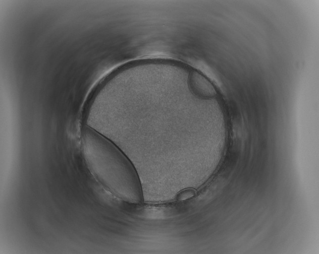 X0000112471364200909141110