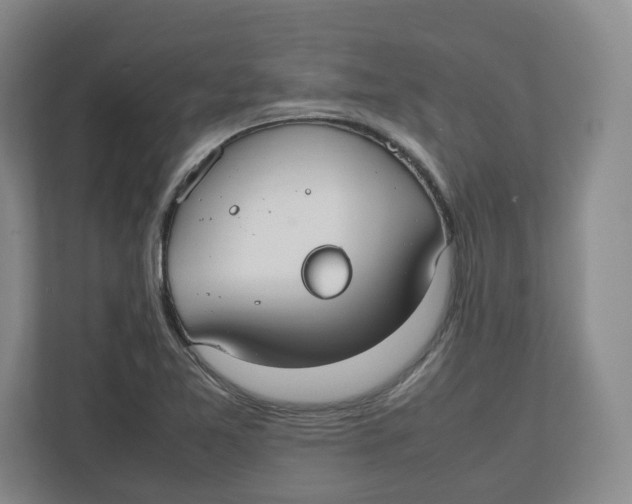 X0000112471365200909141110