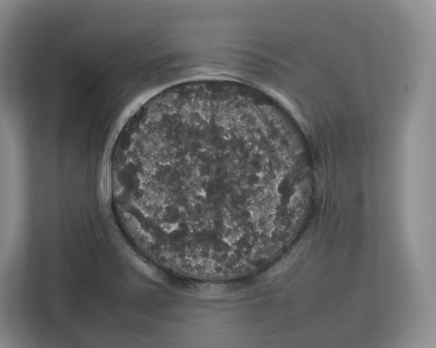 X0000112471371200909141110
